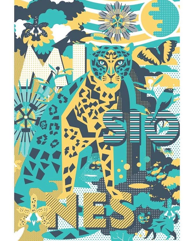 Selva misionera Poster 2