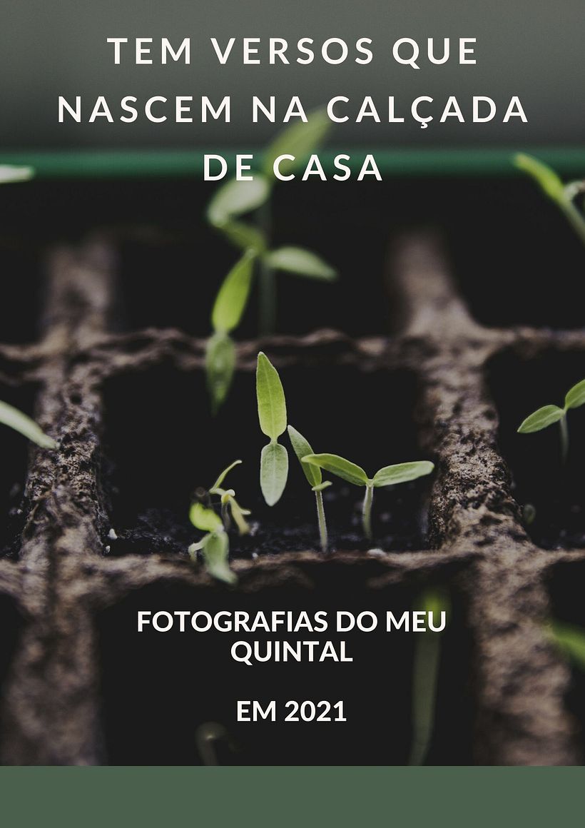 Poster Libro 0