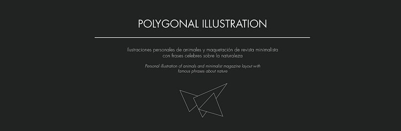 Arte Poligonal -1