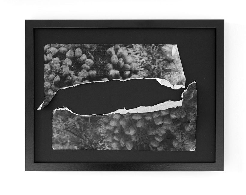 Trail of Touch - El Rastro del Tacto -1