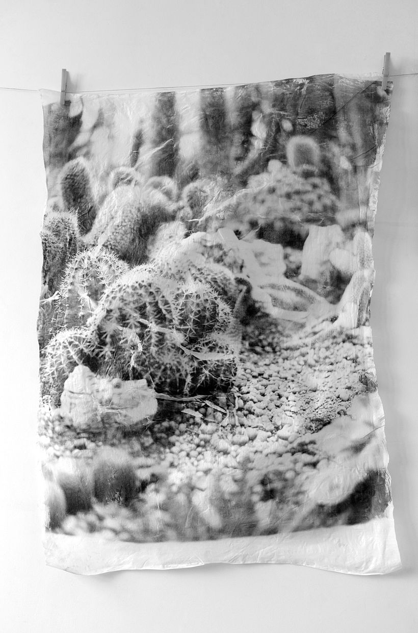 Trail of Touch - El Rastro del Tacto 0