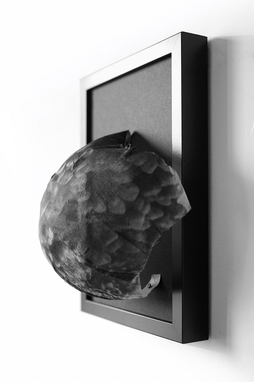 Trail of Touch - El Rastro del Tacto 1