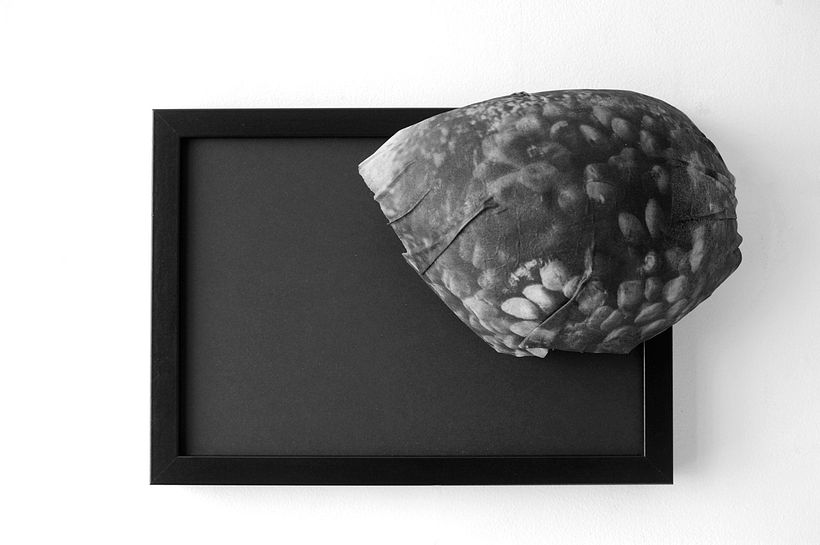 Trail of Touch - El Rastro del Tacto 2