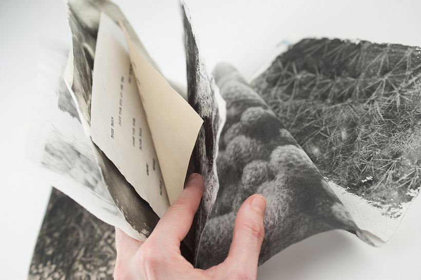 Trail of Touch - El Rastro del Tacto 4