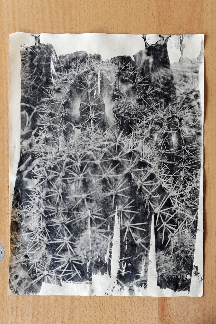 Trail of Touch - El Rastro del Tacto 13