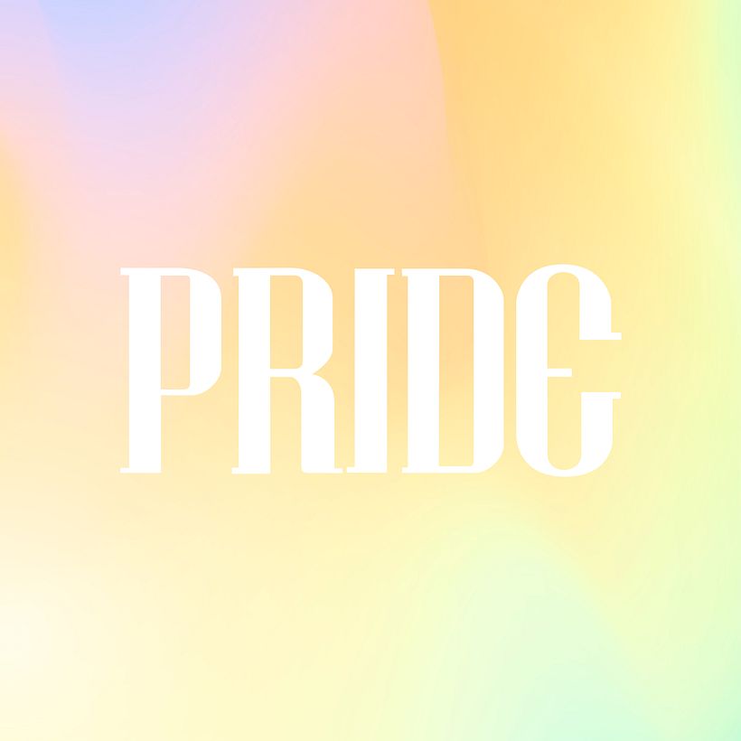 PRIDE 1