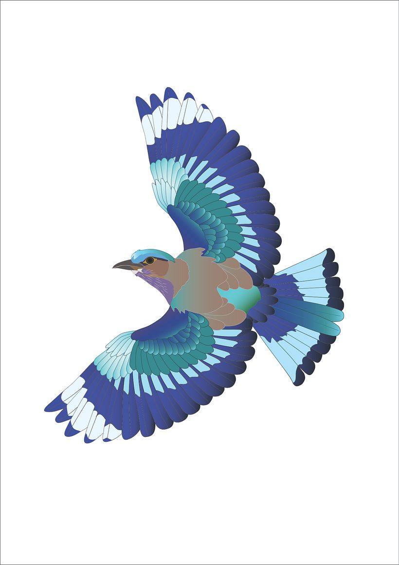Indochinese roller  - 3D