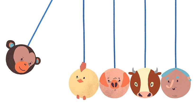 Editorial illustrations: Djurens Rätt (Swedish Animal rights magazine) 2