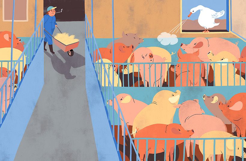 Editorial illustrations: Djurens Rätt (Swedish Animal rights magazine) 1