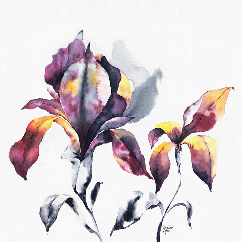 Acuarela-Botánica 2