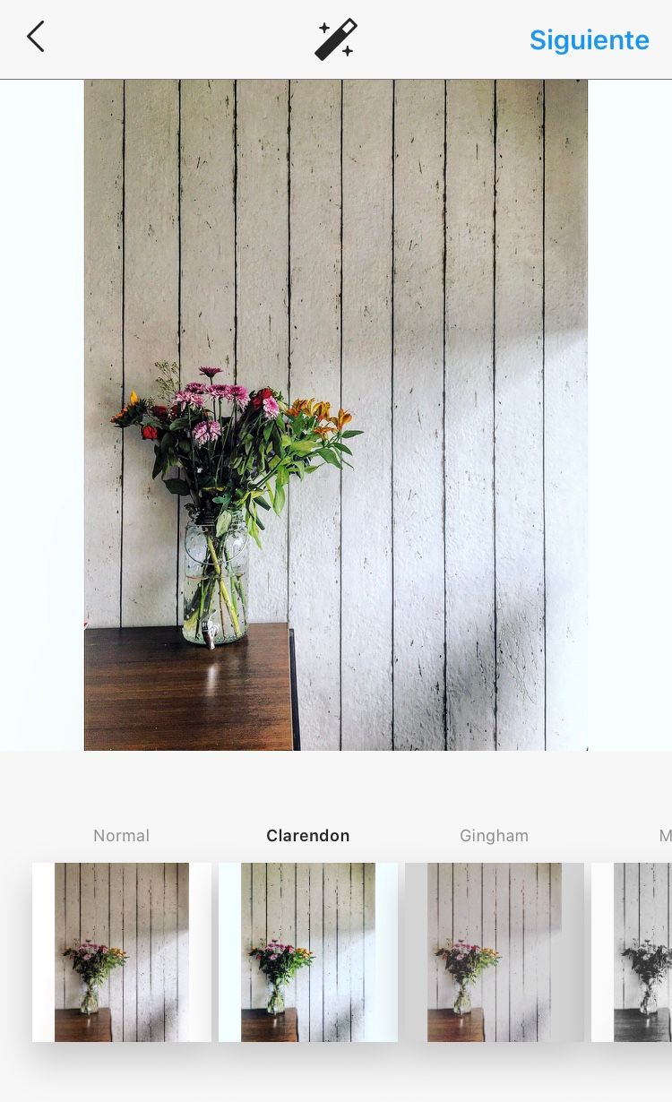 Filtro Clarendon aplicado a 50%
