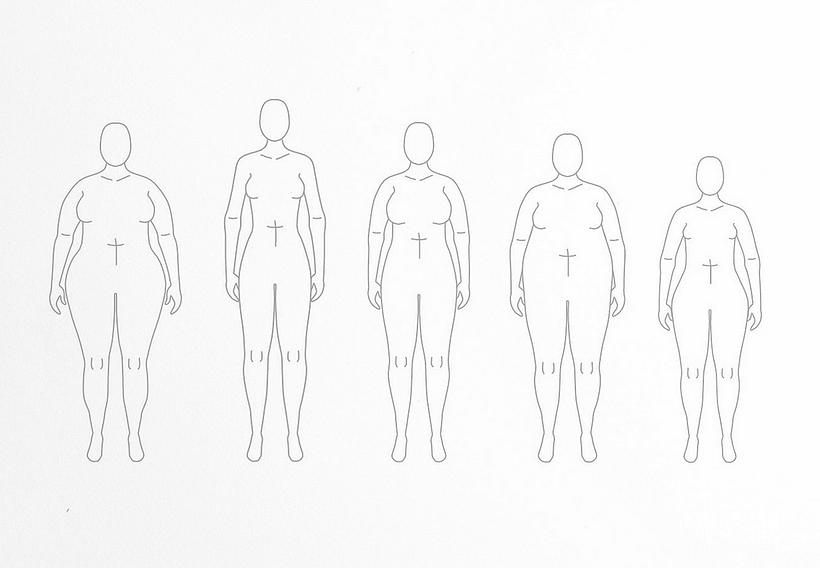 My Body Model