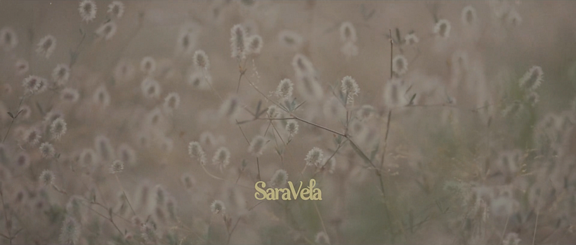 Melancholia 12