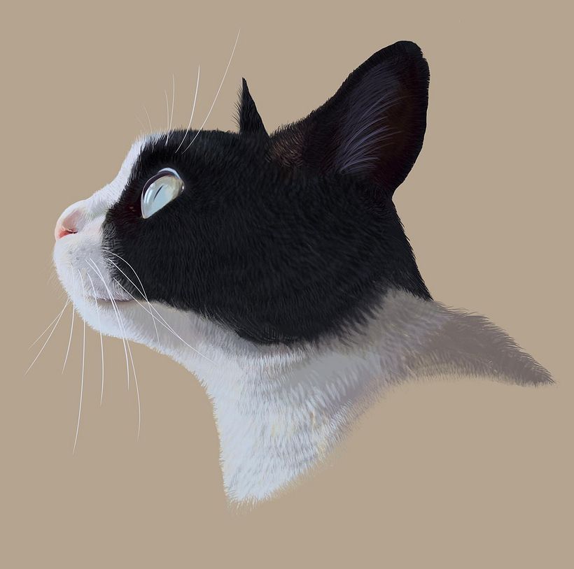 Mi Proyecto del curso: Ilustración naturalista de animales con Procreate 2