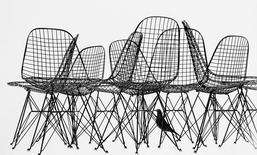 Bird with chairs