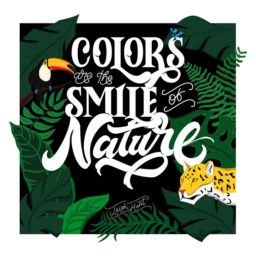 Concurso: Lettering para el Medio Ambiente 1
