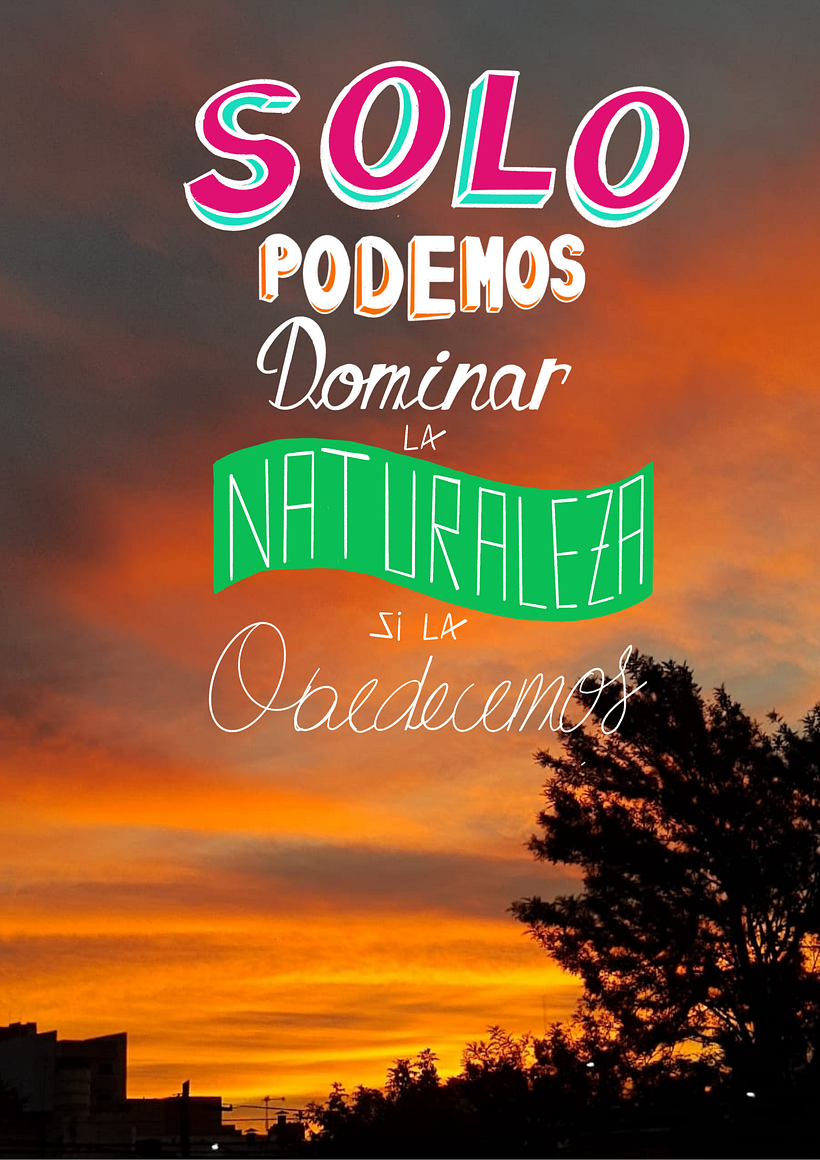 Concurso: Lettering para el Medio Ambiente 1