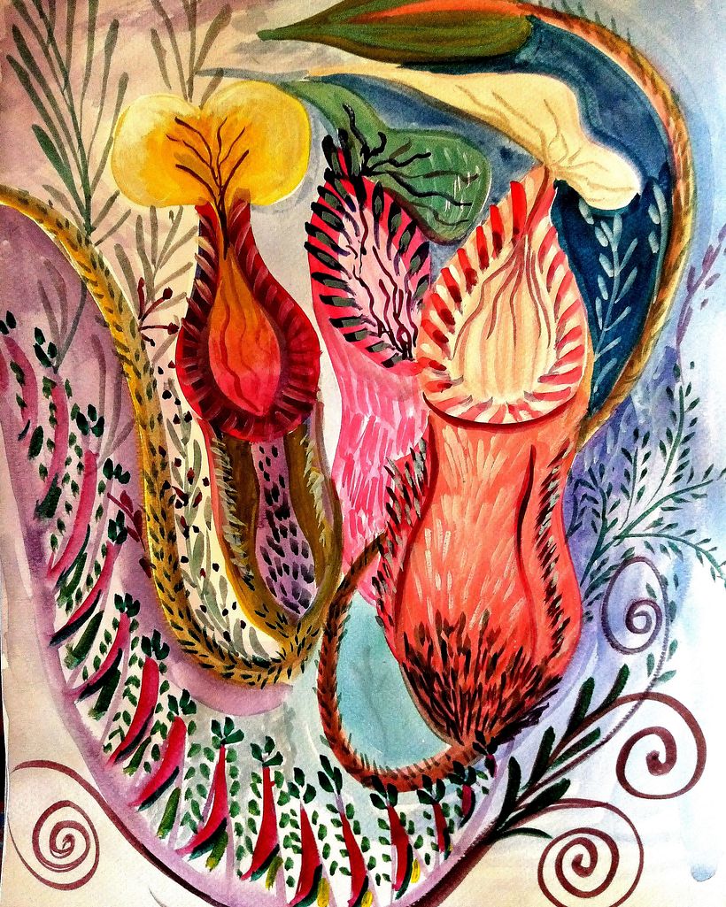 colores y mas colores 0