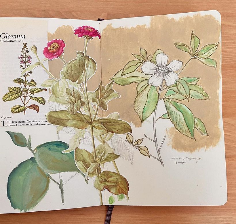 Meg Journals