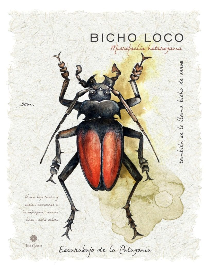 Veronica Quercia