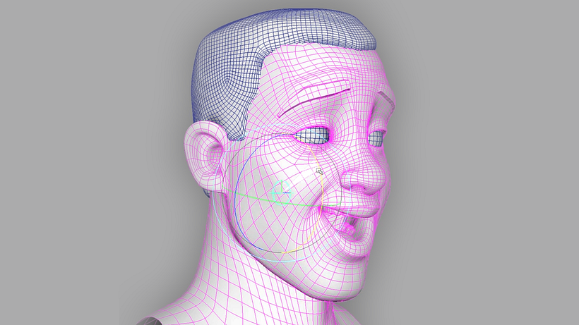 Facial rigging is one of the concentrations of this professional branch