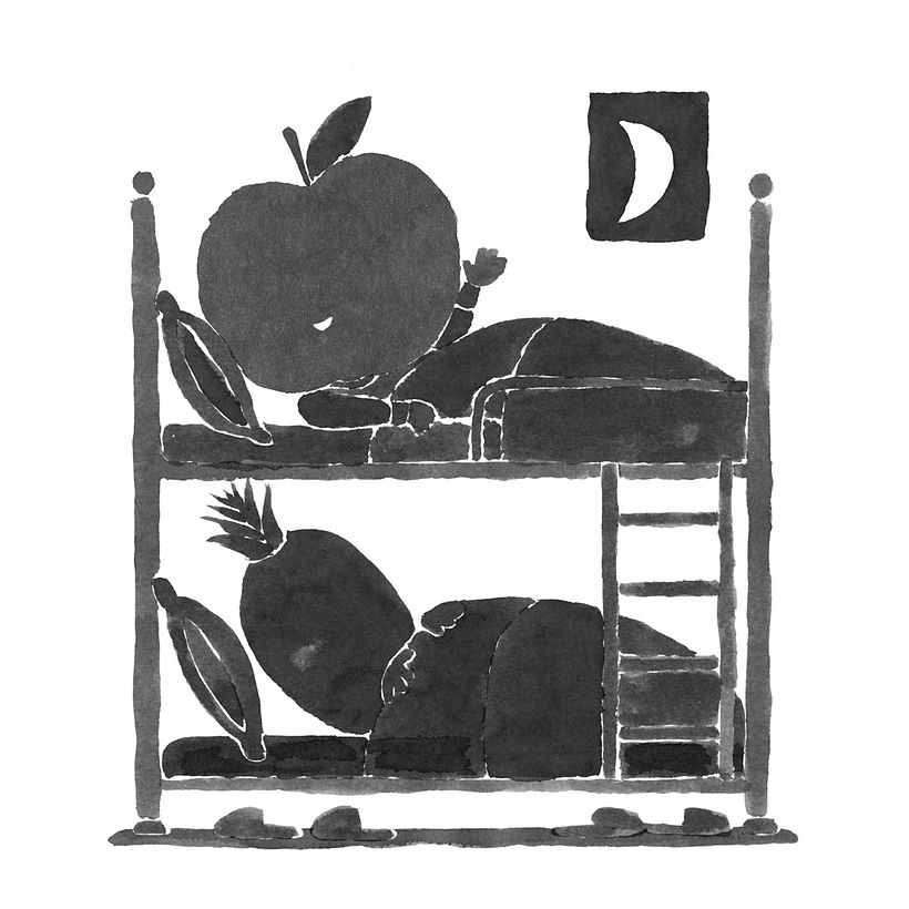 A canção de ninar do abacaxi 15