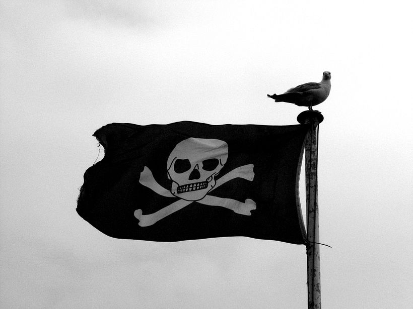 Why did all pirates use the same flag? 11