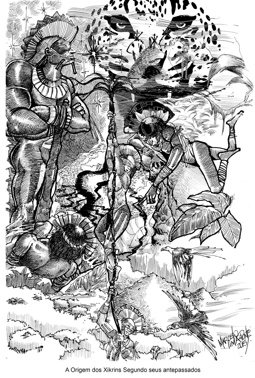 brazilian Indians 1