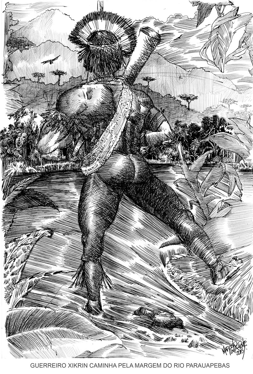 brazilian Indians 2