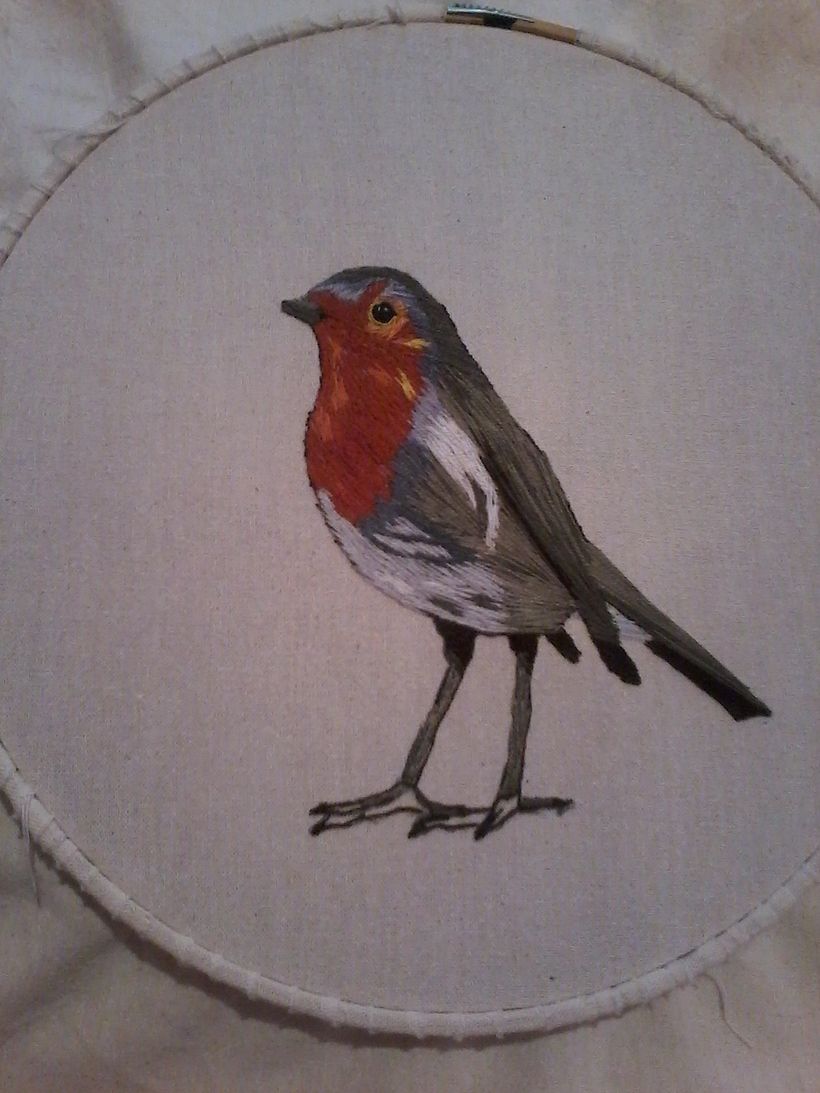 Mi Proyecto del curso: Pintar con hilo: técnicas de ilustración textil 1