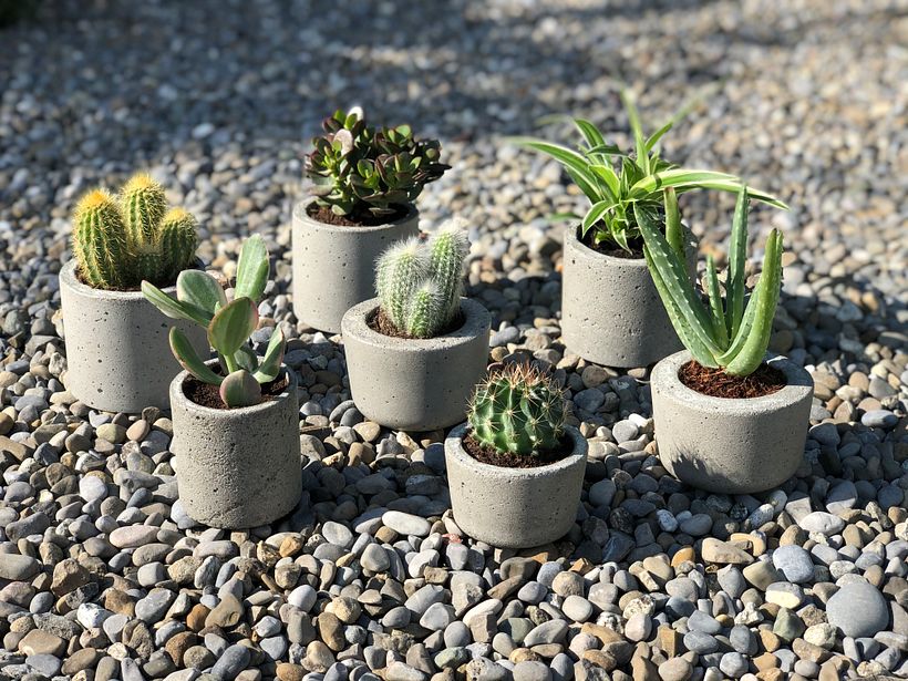 Concrete Planters 0
