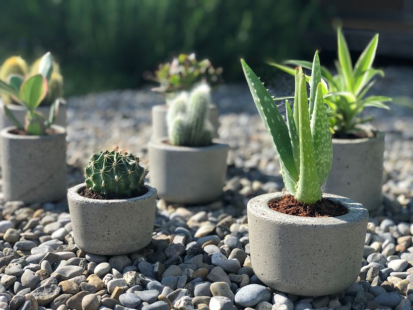 Concrete Planters 0