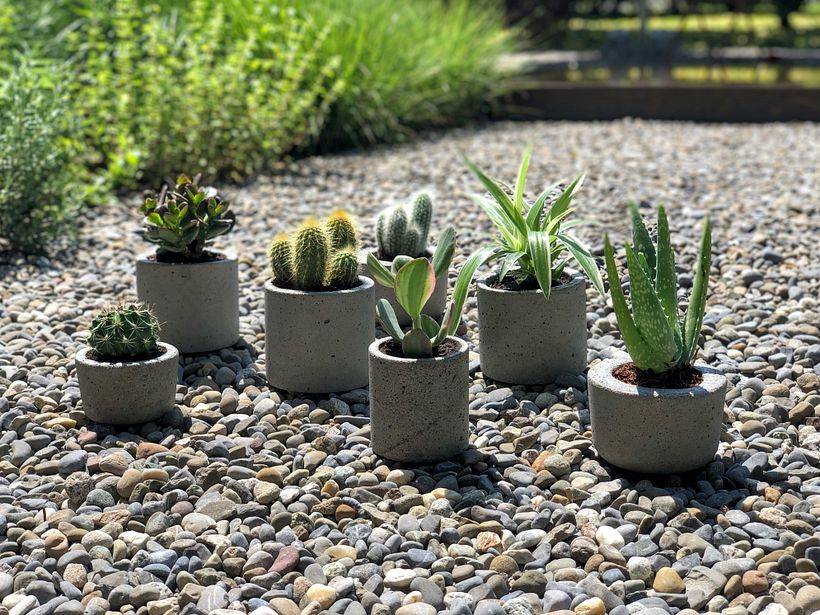 Concrete Planters 1