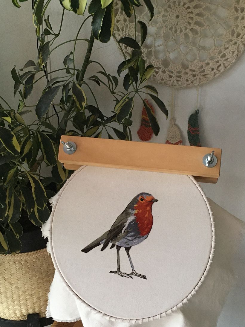 ¡A volar petirrojo!