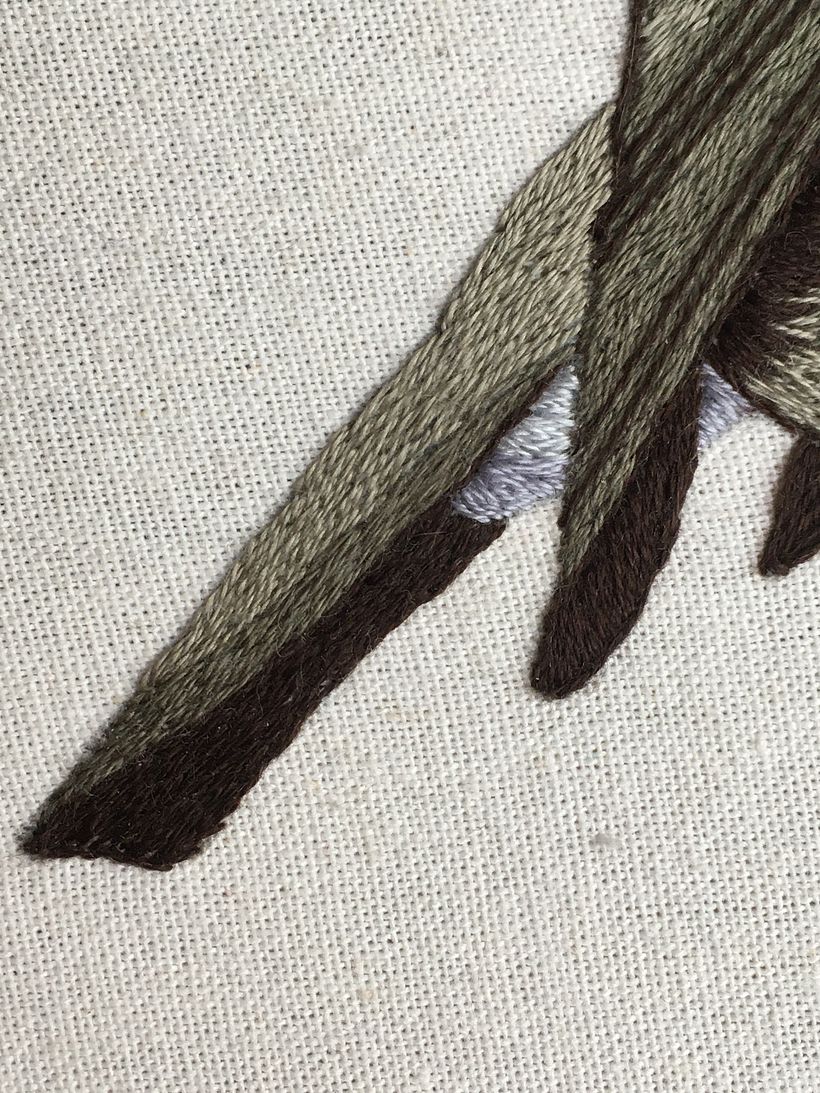 Detalle de la colita