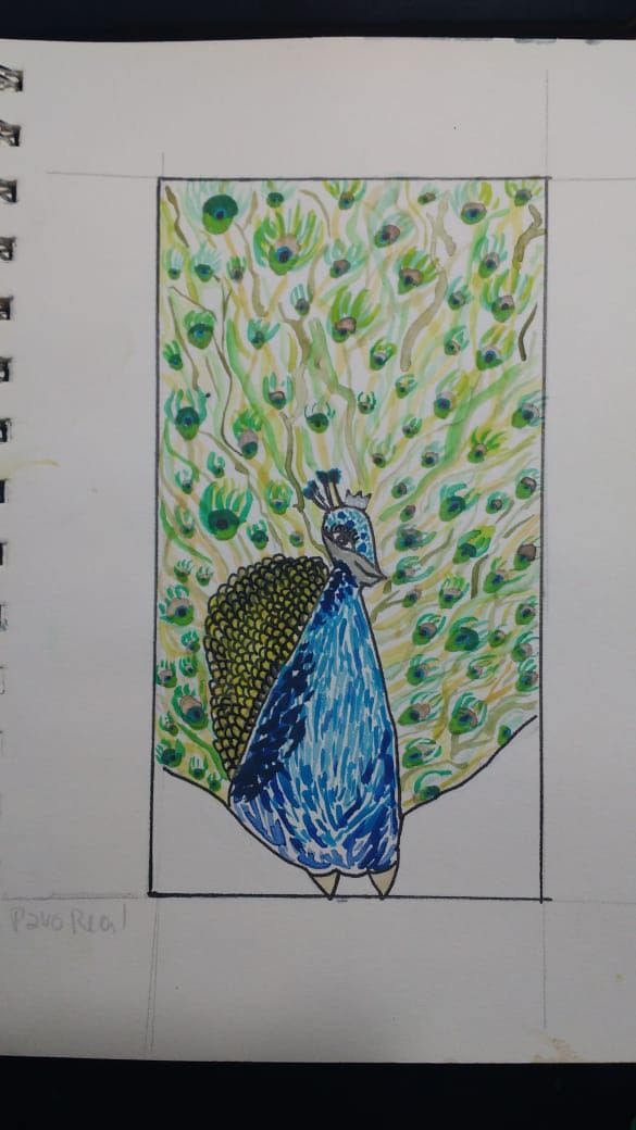 pavo real