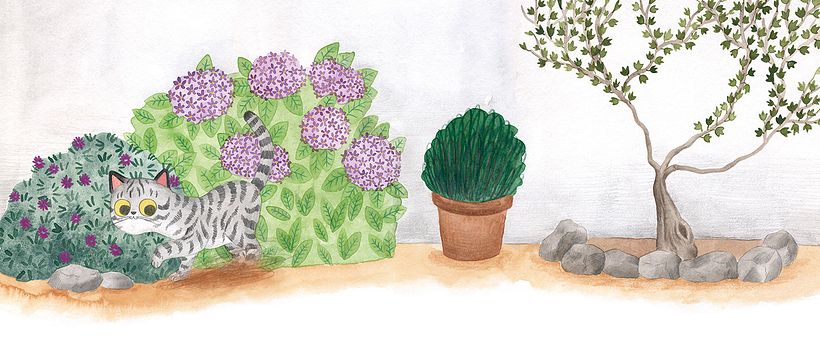 O misterio dos fillos de Lúa 5