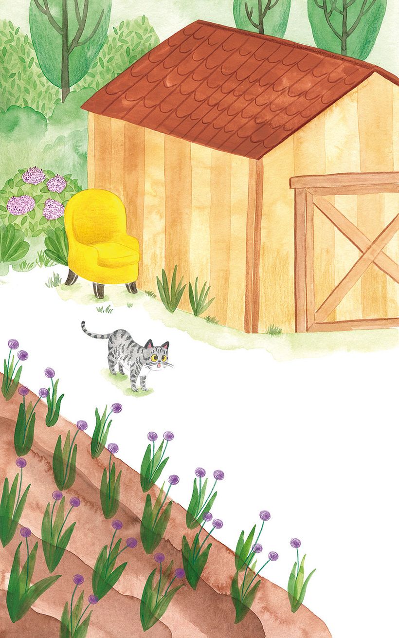 O misterio dos fillos de Lúa 17