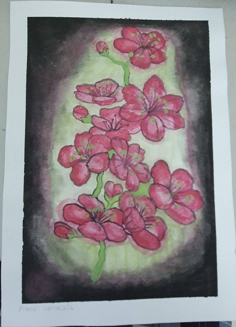 Artwork prior to this course. 7