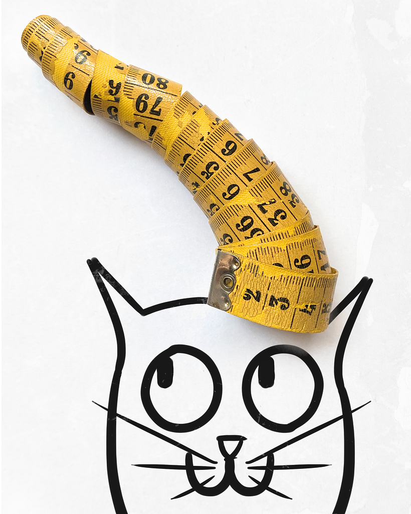 DAY 831 (2/2) — Accept it: You are weird. Love the weird parts that make you unique.