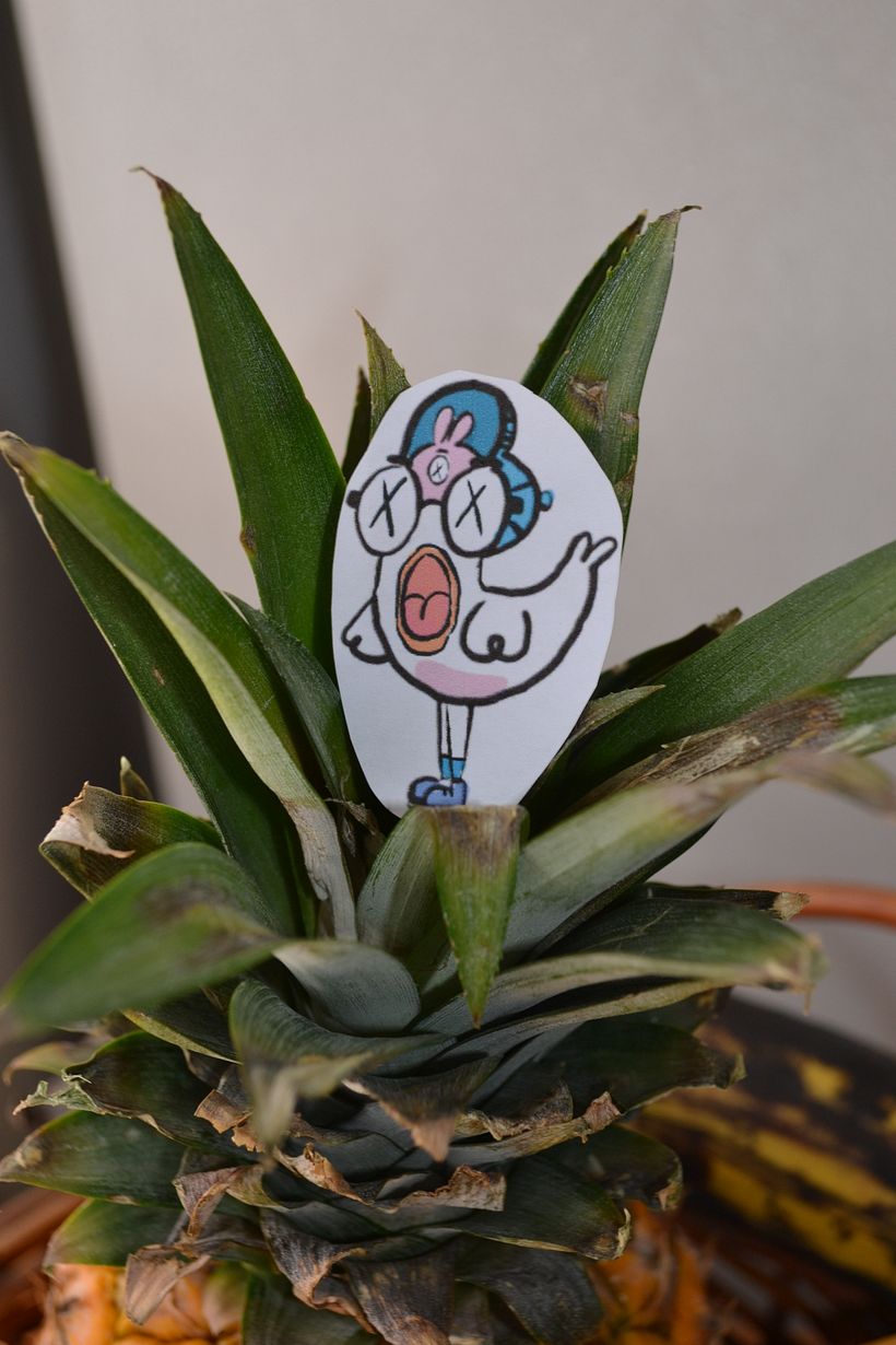 The Duck (Diseño de Personaje) 13