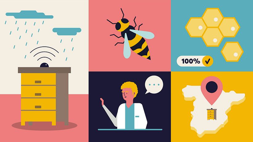 Bee2Keeper Der intelligente Bienenstock! 3