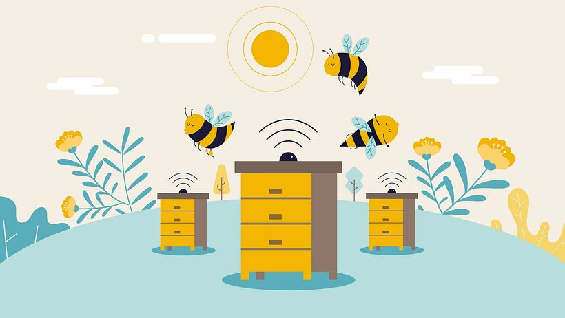 Bee2Keeper Der intelligente Bienenstock! 12