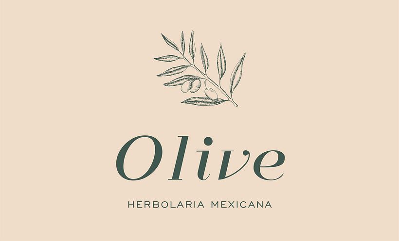 Diseño de papelería para olive 1