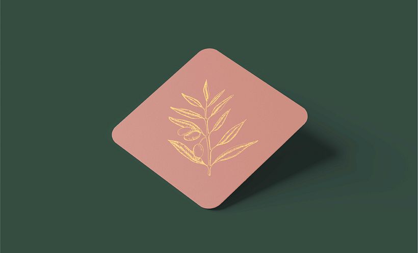 Diseño de papelería para olive 5