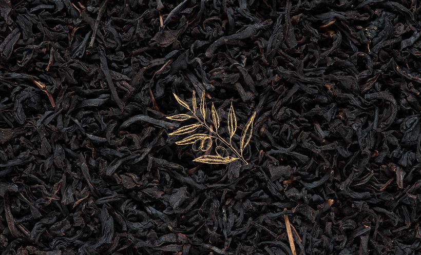 Diseño de papelería para olive 9