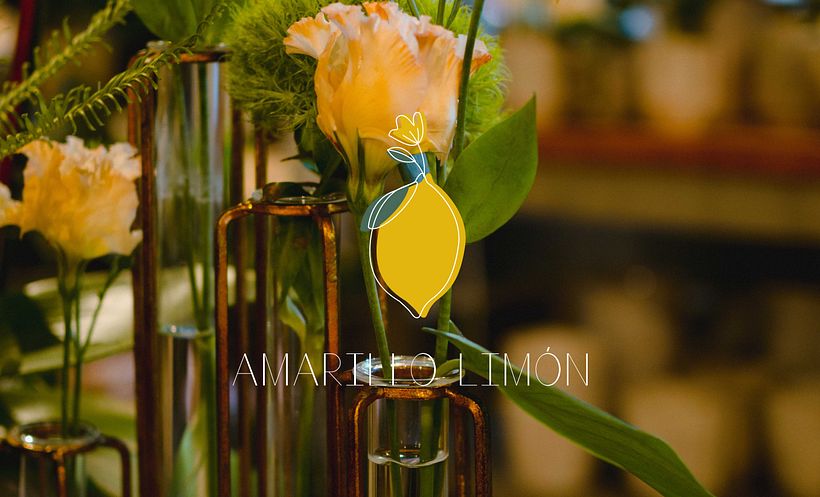 Branding - Amarillo limón 0
