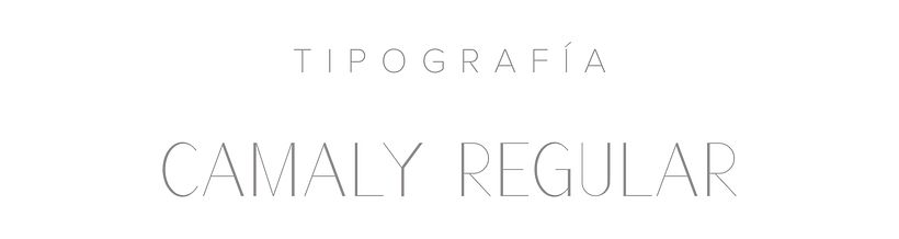 Branding - Amarillo limón 5