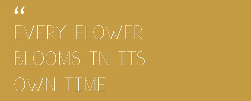 Branding - Amarillo limón 9