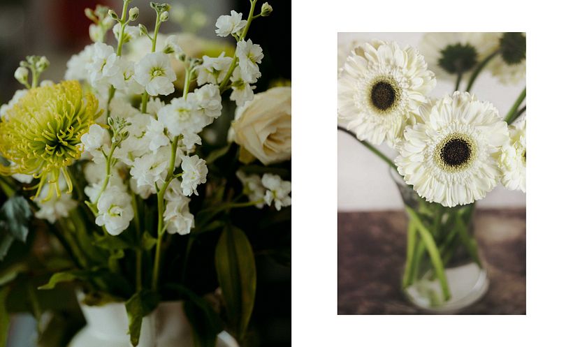 Branding - Amarillo limón 10